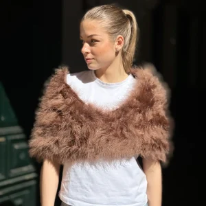 Estola libélula marrón