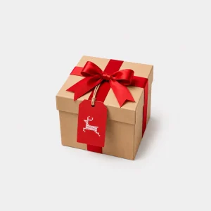Jersey de Navidad Sorpresa