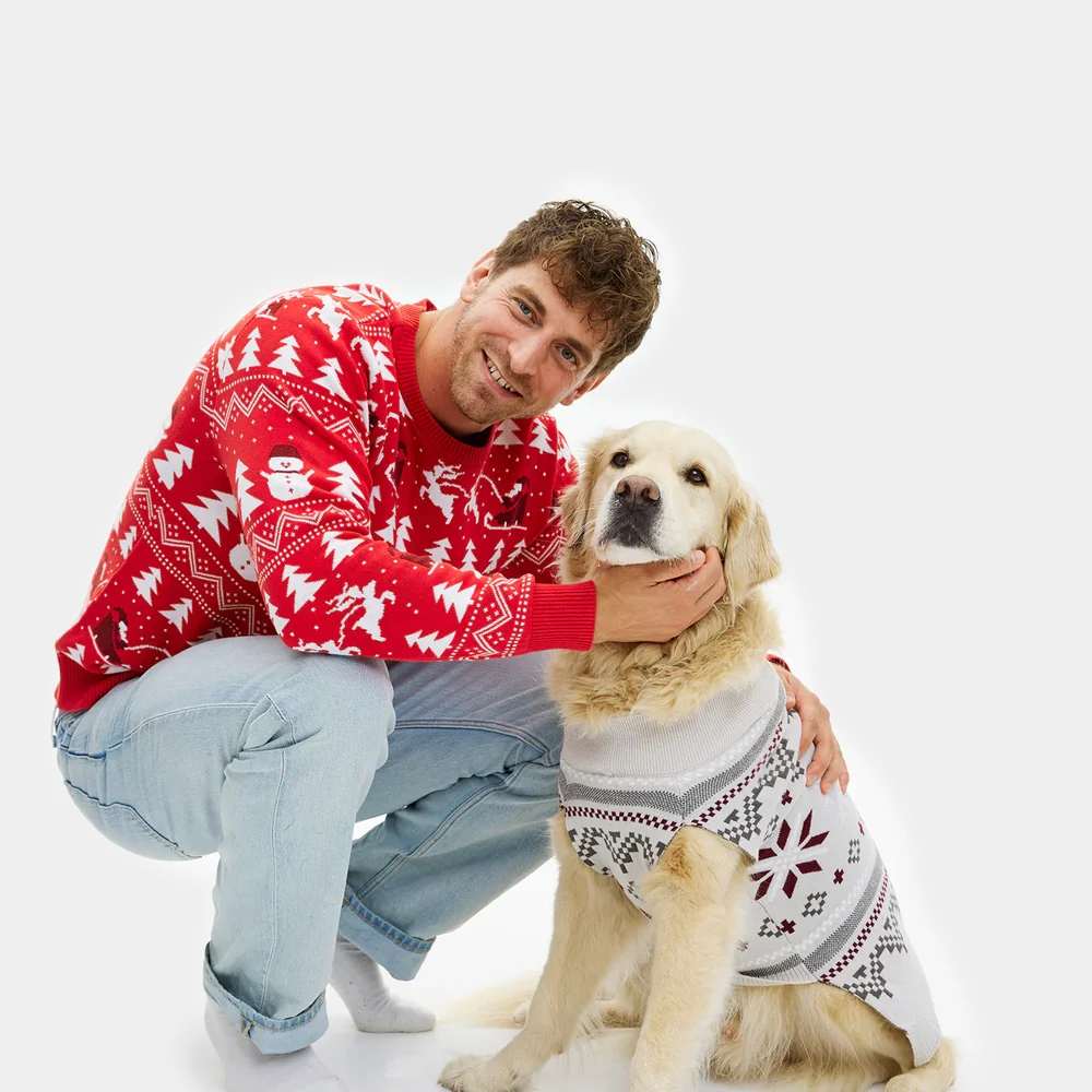Jersey de Navidad para Perros Gris Estrellas Polares - Imagen 3