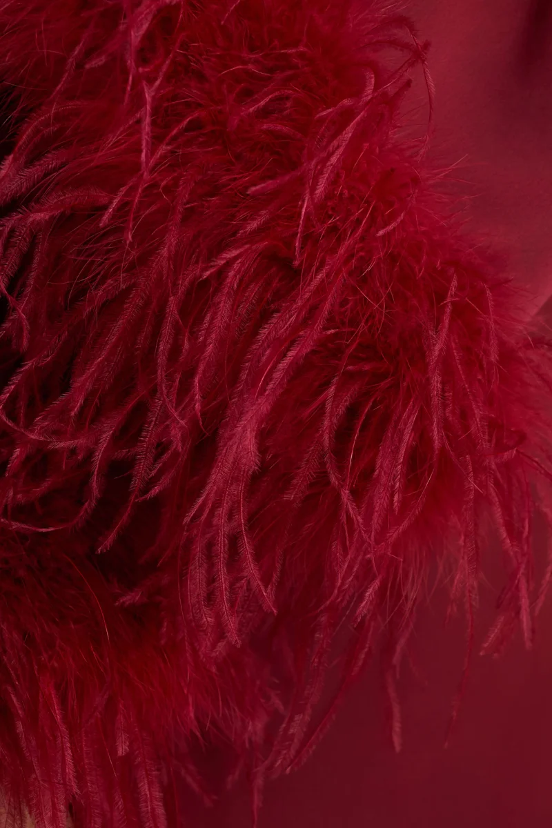 Adella | Vestido Largo de Satén Burdeos con Detalle de Plumas - Imagen 7